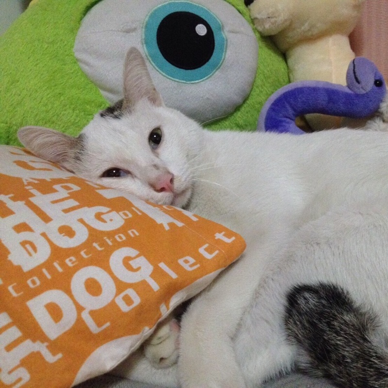 ยาหยี