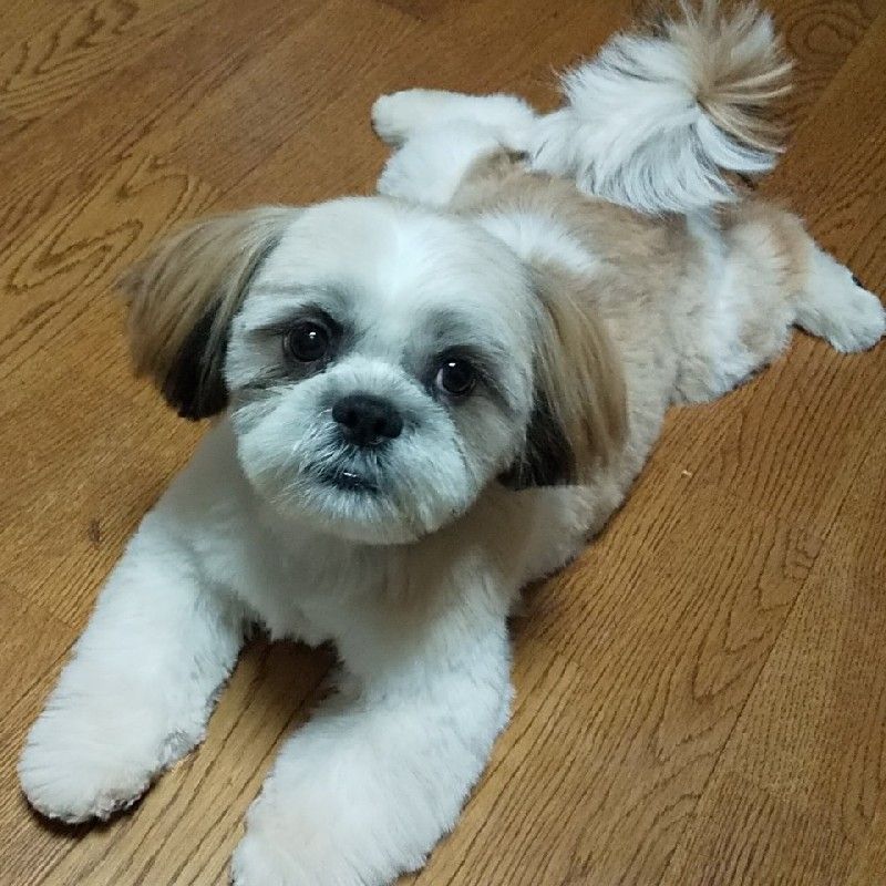 川(*_*)端(旧nobukiyo)