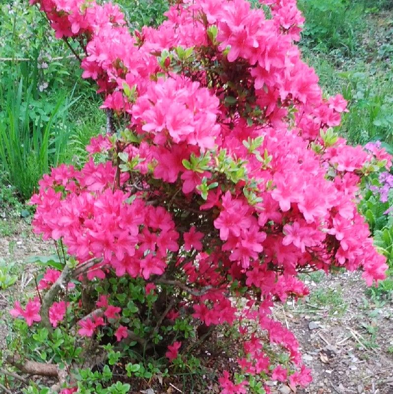 山下綾子