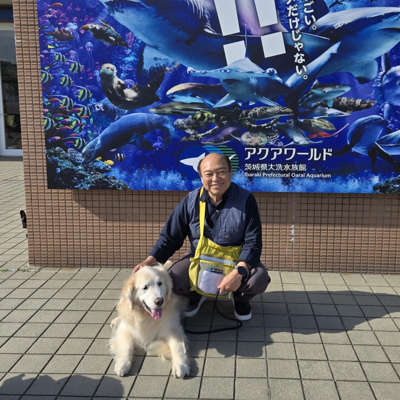 HIDEYUKI SHIBATABATA