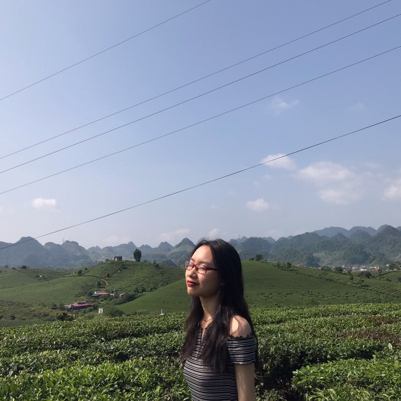 Nguyen Thuy Chi