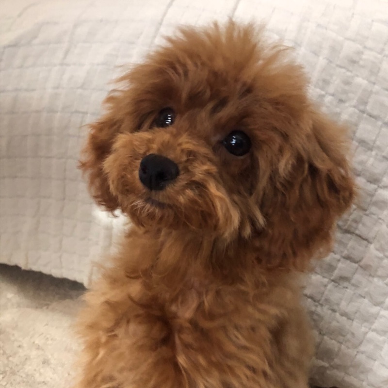 タカハシ まさーしー♪