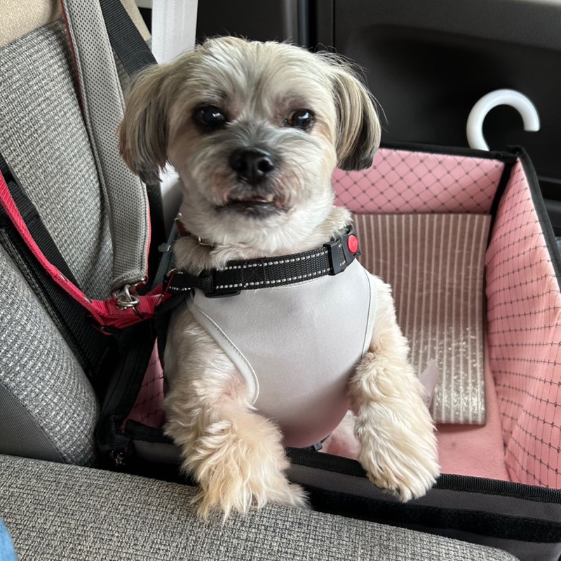 oztowaELMO🐶papamama