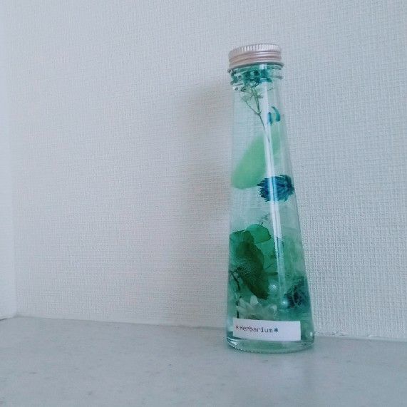 せいや (ふらりんこ)