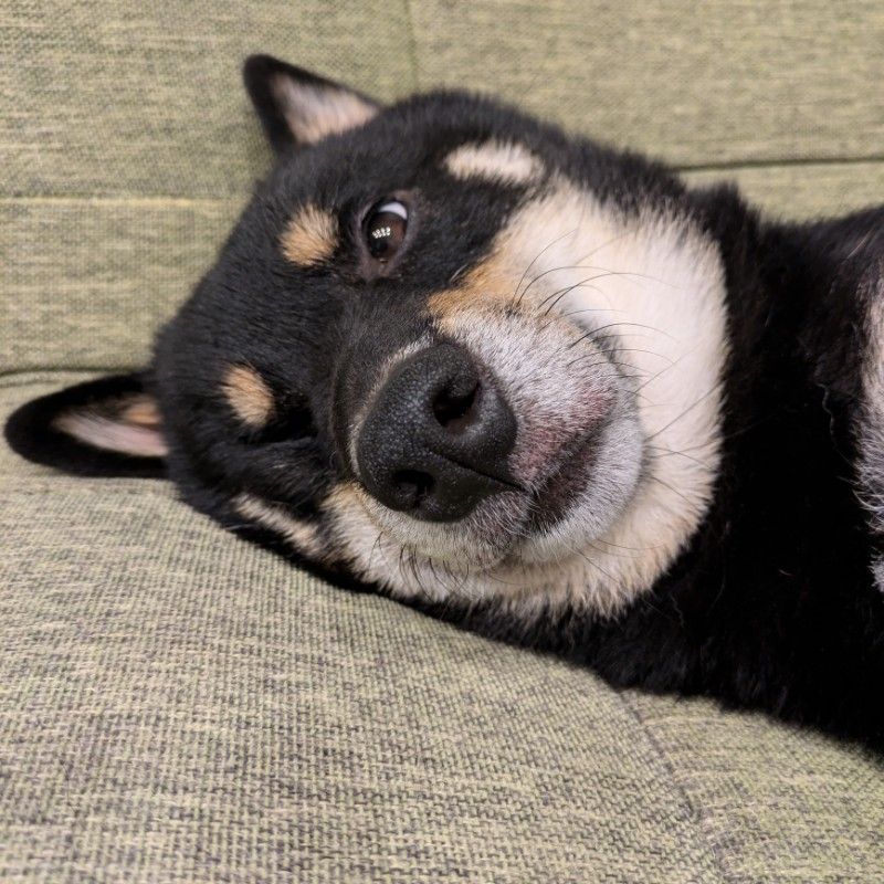 たきいえいすけ