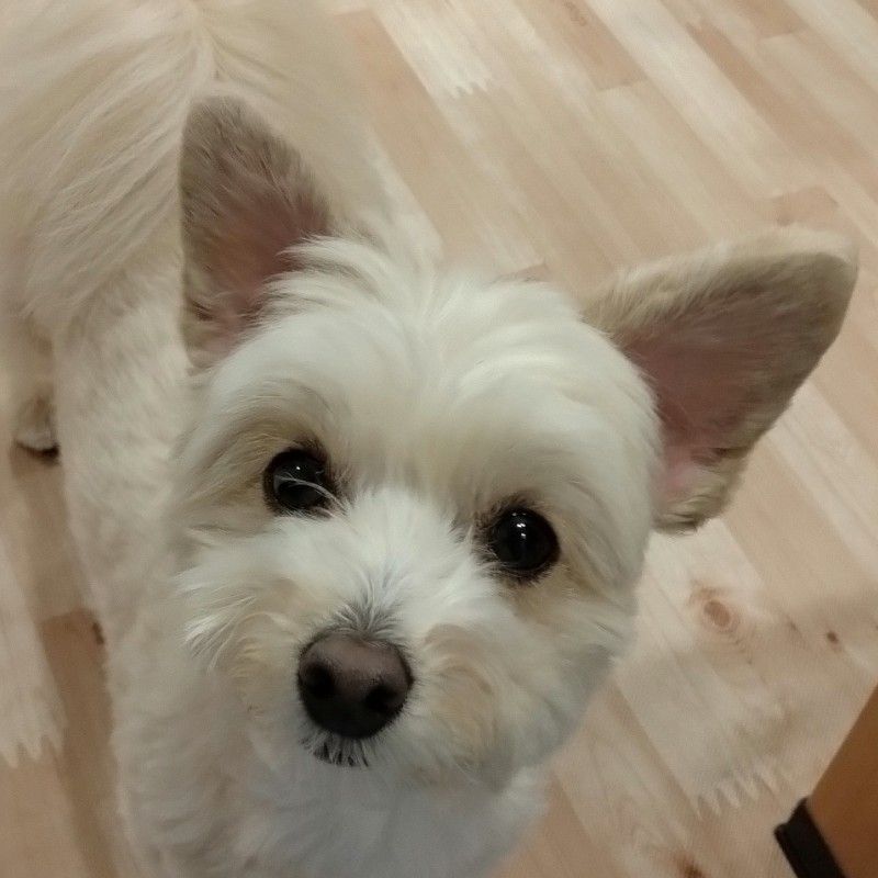 くろかわたかゆき