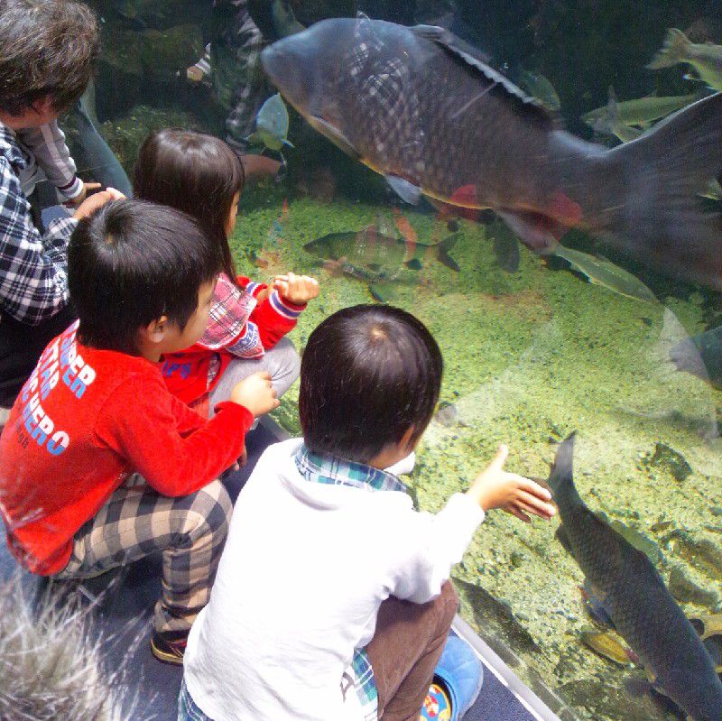 たかはしあすか