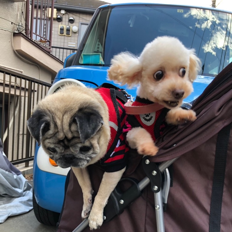 ☆響☆ひとみ☆