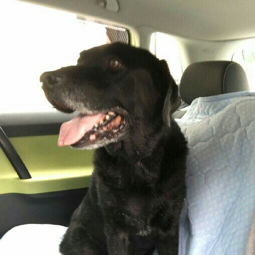 エスメラルダみどり