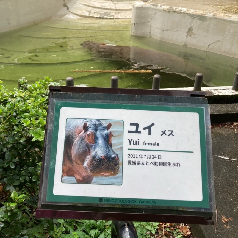 髙橋σ('∀'私)ゆい