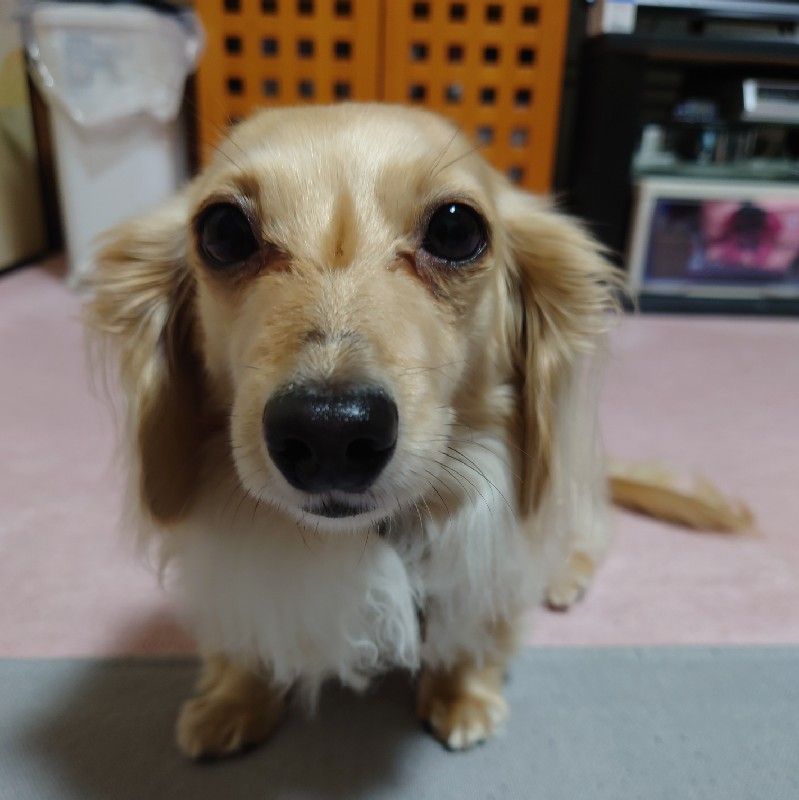 清水和美