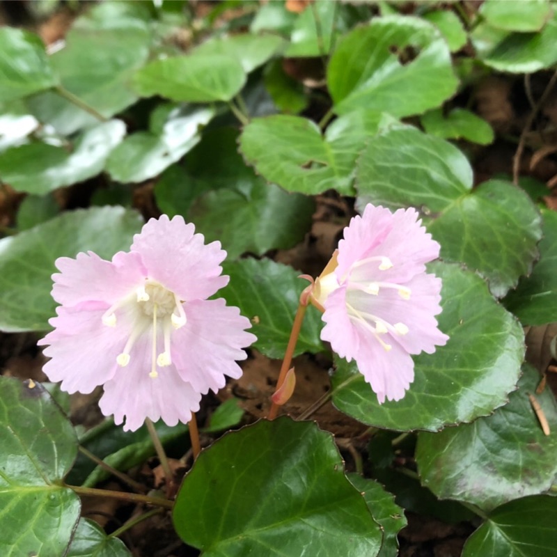 西内小学校職員一同