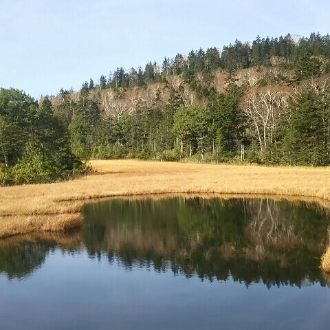 市川 茂 시케루