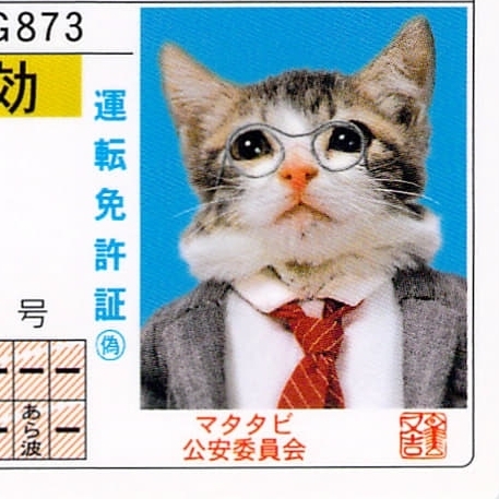 株式会社マルゼンシステムズ