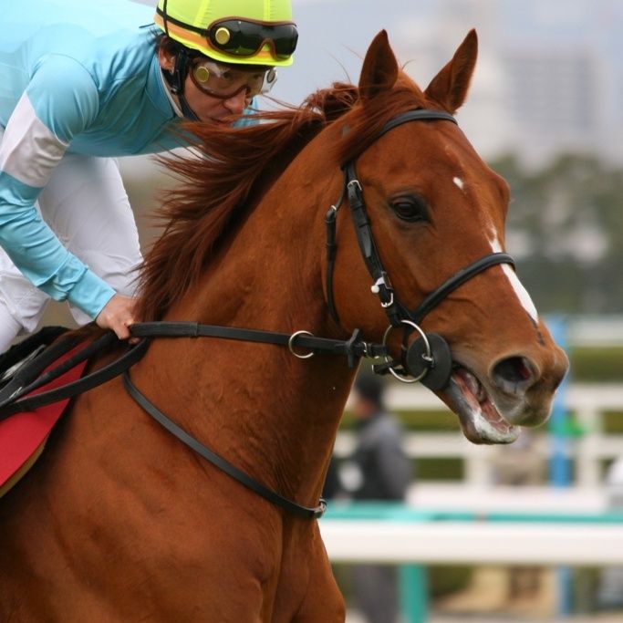 カジノドライヴ