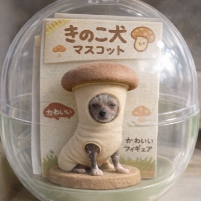 Satoe Takeda