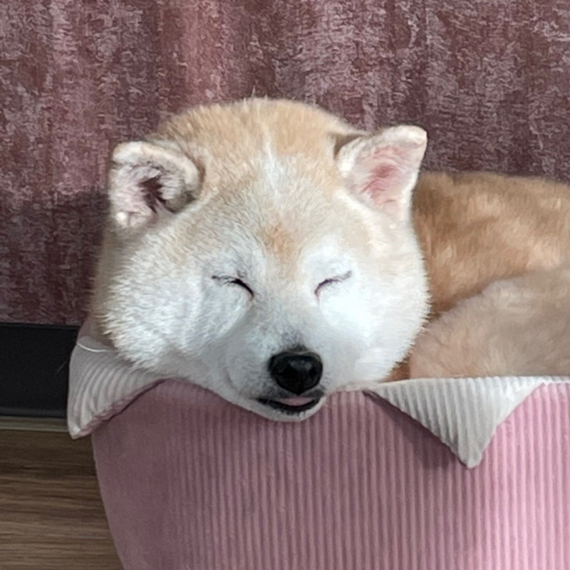 さら