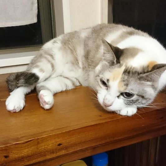 まる