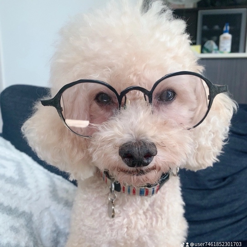 かよこ（アトム＊クレア＊サンタ）