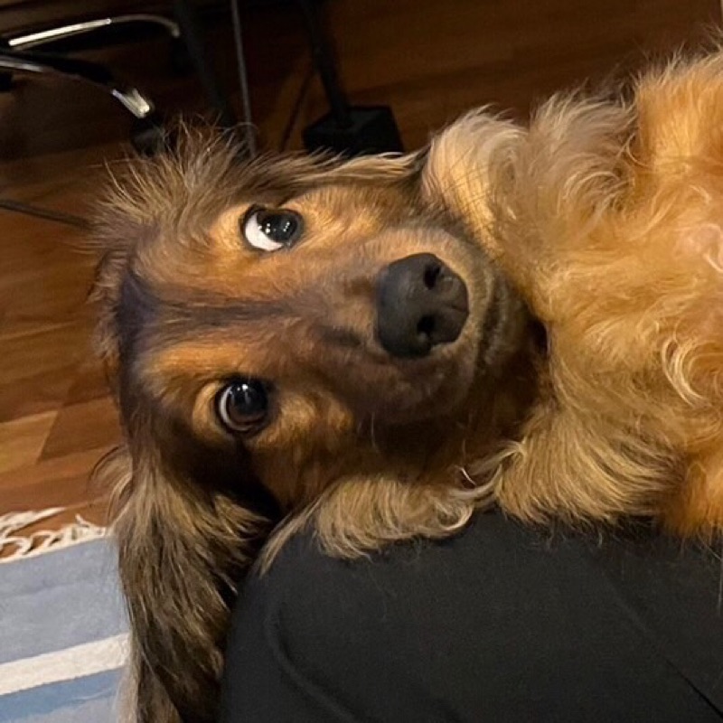 金持ちおじさん