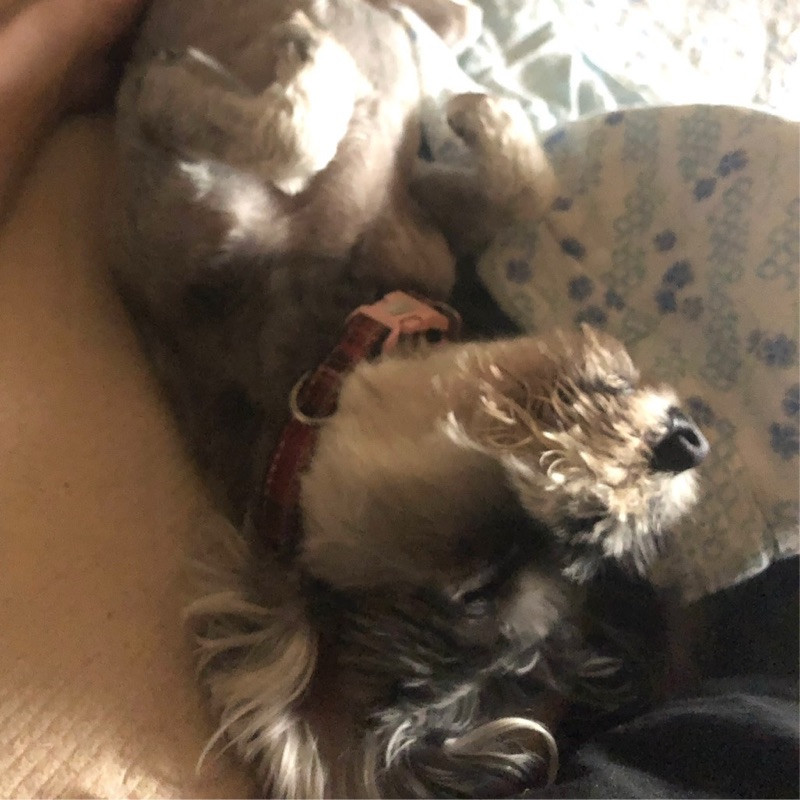 ふなこし かなめ