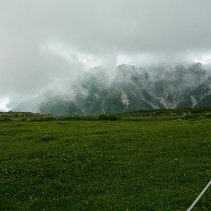 松本慎也の友。河岸