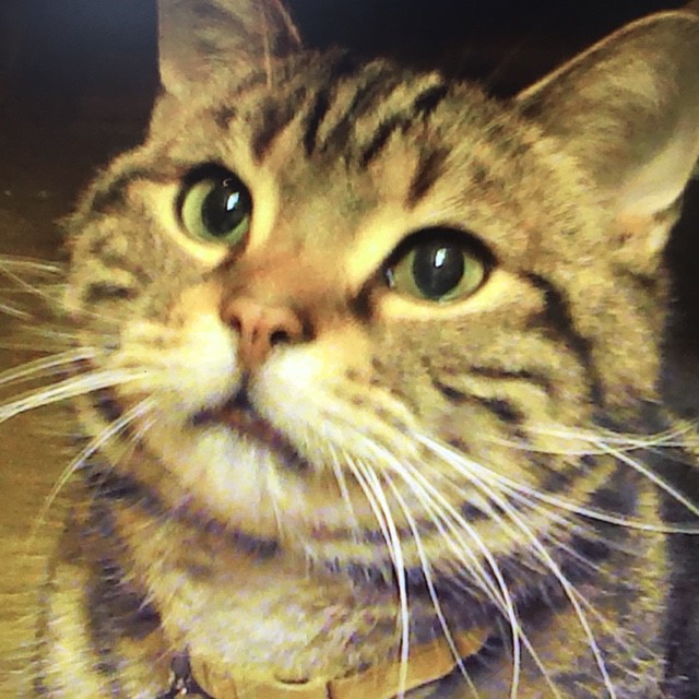 サプライズ瀬崎