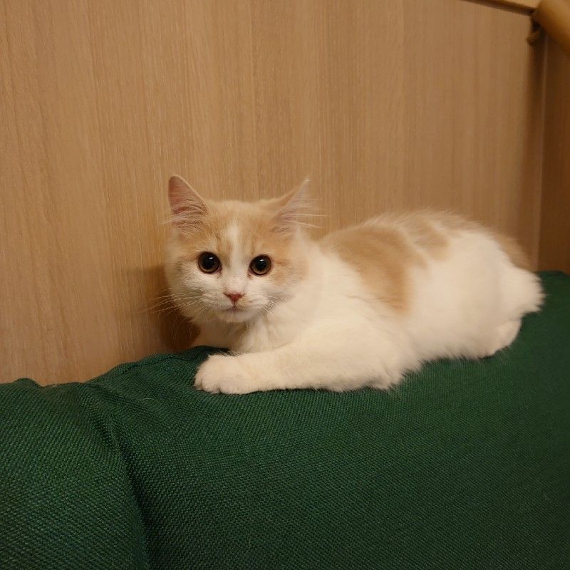 すぎうら医院　杉浦弘明、杉浦智子