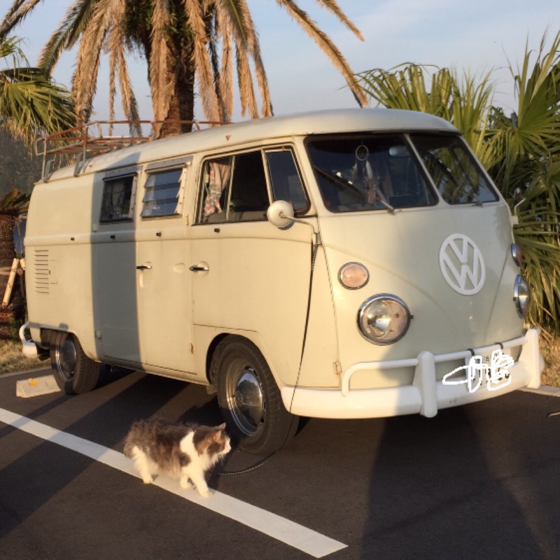 リトルリオンリリイのお花やさん