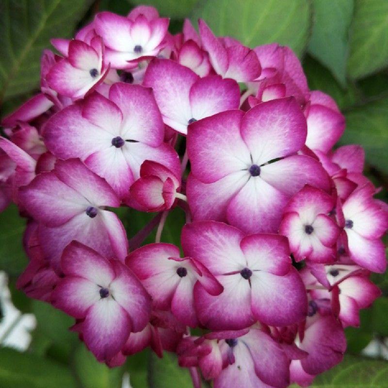 山田ファミリー