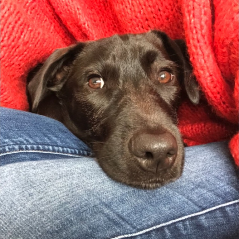 Ryoko Francis（石井）