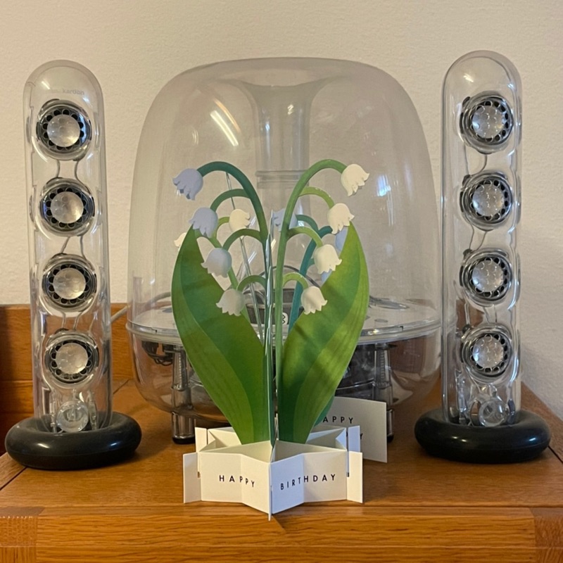 釋 沙蓮(ｼｬﾚﾝ)