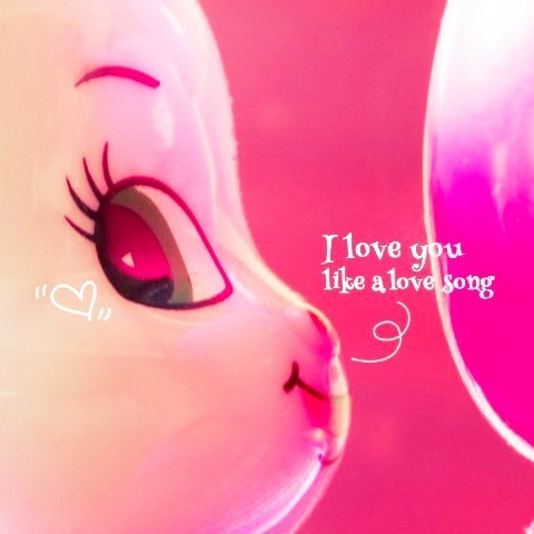 ヾ(*´∀｀*)ﾉ♡yuka