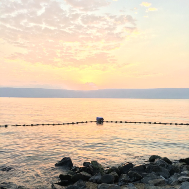 齋藤靖子　Y Saito