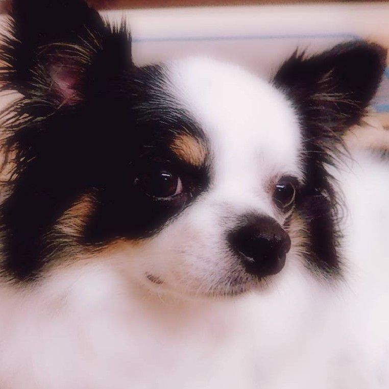 ふみ 佐藤富美子