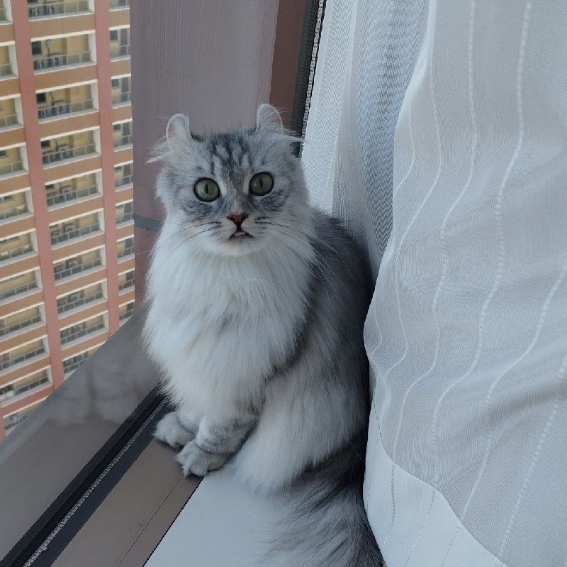 西村貴子/ tnishimura