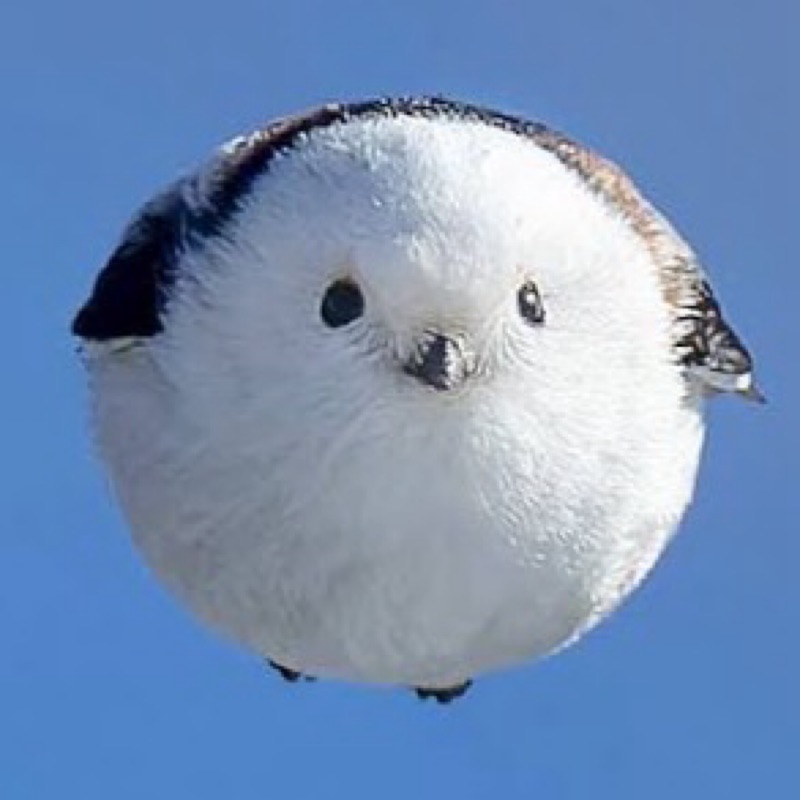 五味(逸見)@ゆうたろう