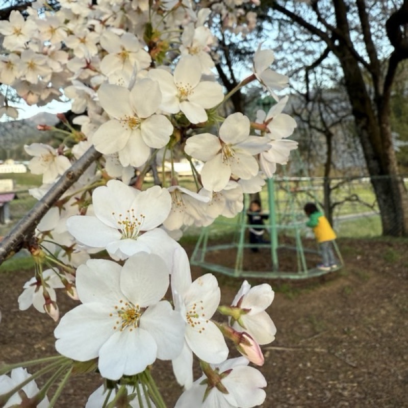 田中千晶(下畑)