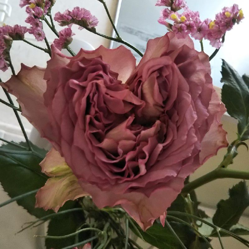 安楽寺坊守あき