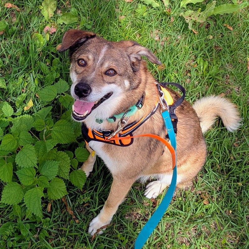 くろかわさゆり