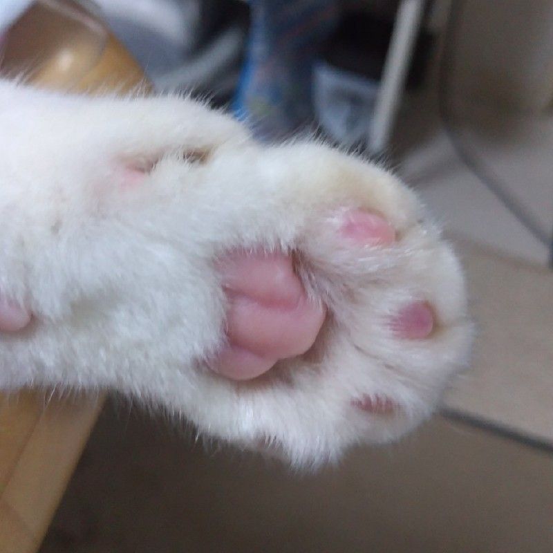 ゆかり