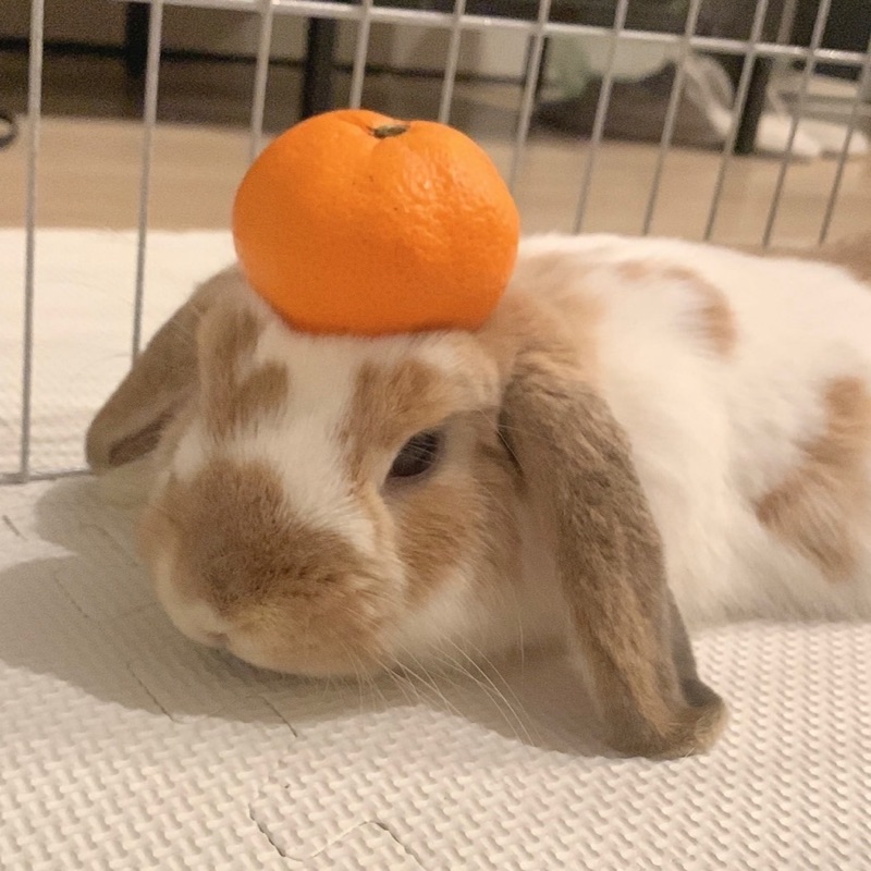 な😁