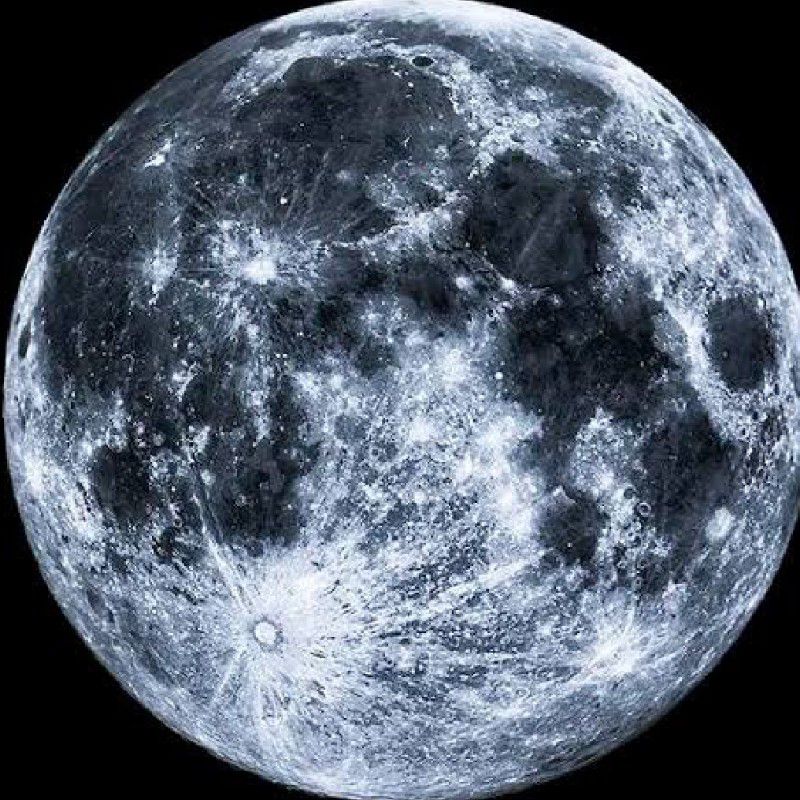 協同組合アジアクリエイティブネットワーク