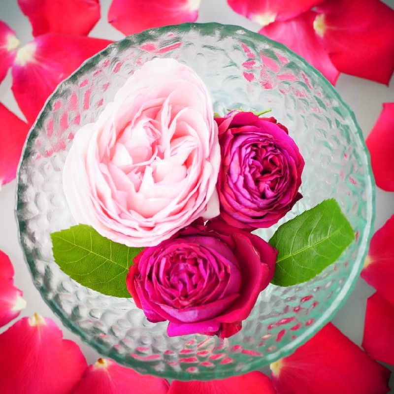 まきの みき(いっぺい・いちか)