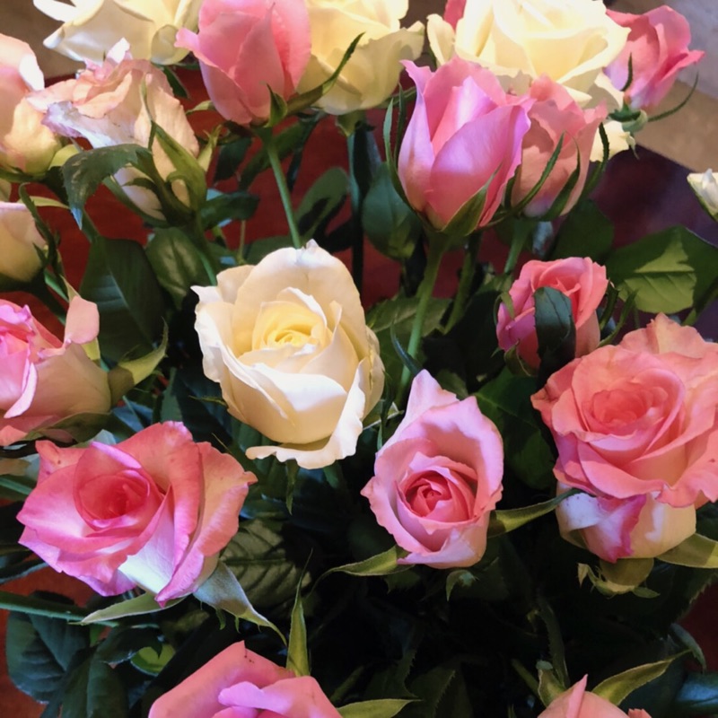 🌟ゆみちゃん🌟