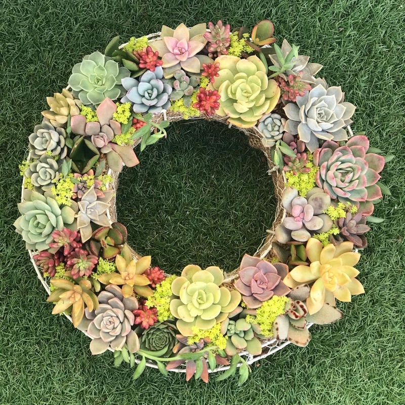 にじたま園芸部🚌🌵