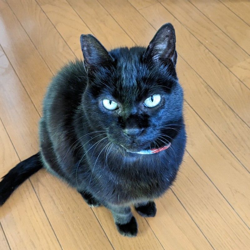 駒形　さゆり