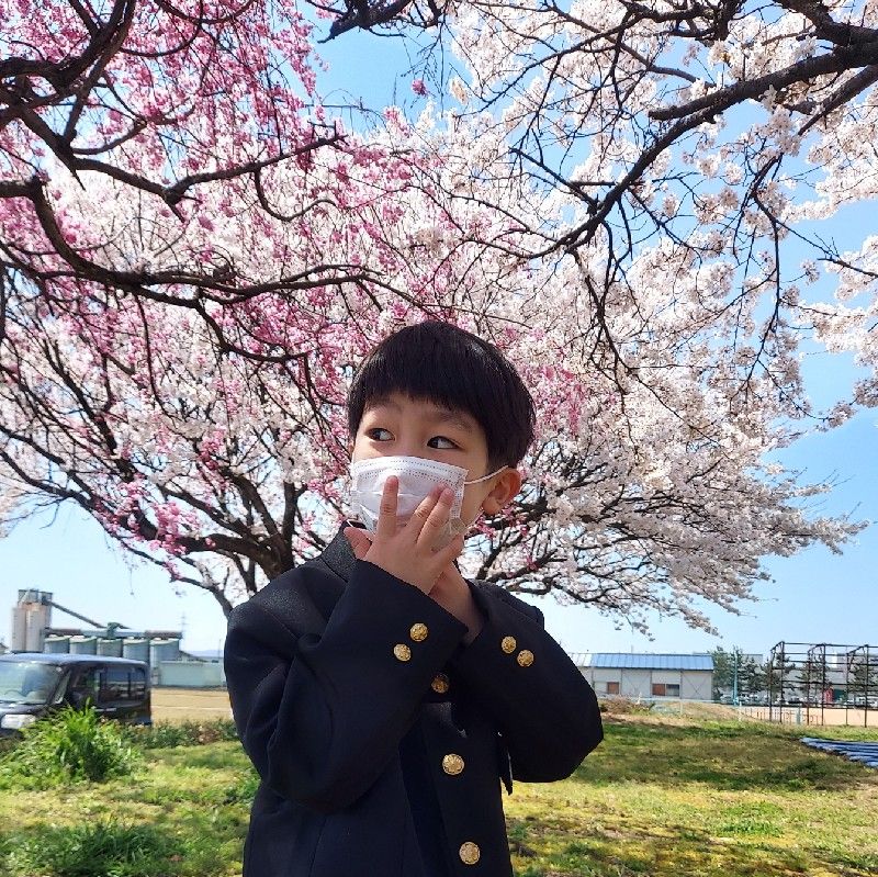 ともやきのした