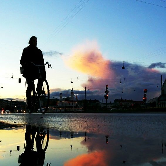 タムラコウイチ