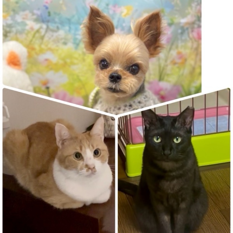 あいちゃーーーん！